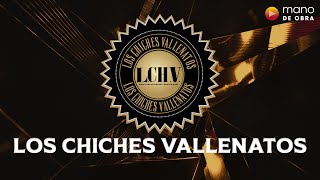 Los Chiches Vallenatos  Ceniza Fría l Audio Oficial [upl. by Ahsemrac]