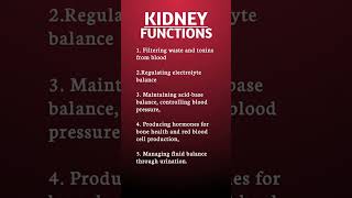 Kidney Functions  in 5 second  short [upl. by Skoorb887]