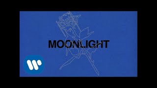 Ali Gatie  Moonlight Official Lyrics Video [upl. by Nylaroc]