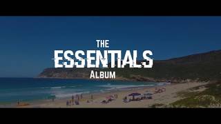 MudPie Essentials Album 2017 Promo Video [upl. by Asiled]