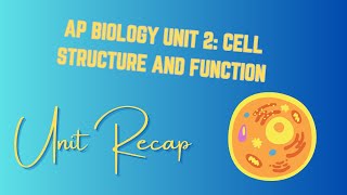 Unit 2 Cell Structure and Function AP Biology RECAP [upl. by Akimik]