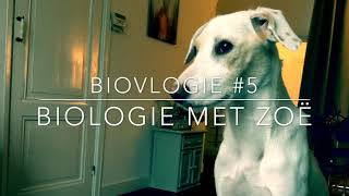 Biovlogie 5 Biologie met Zoë [upl. by Paxton115]