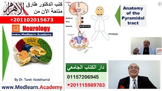 Localization of Neurological Lesions Part 1 [upl. by Nnaesor429]