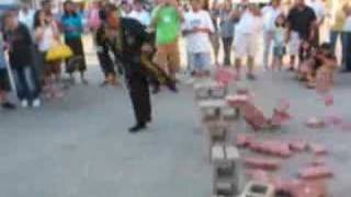 Master Moses Brick Breaking At Arab World Fest [upl. by Olaf]