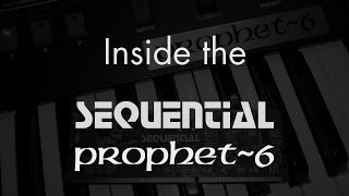 Inside the Sequential Prophet6 [upl. by Tisbee]