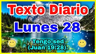 Texto diario lunes 28 de agosto 2023 ✅ texto diario 🔴 TEXTO DIARIO de Hoy [upl. by Goodman111]