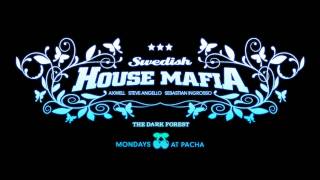 Swedish House Mafia  Miami 2 Ibiza Sebastian Ingrosso vs Pat Aguilera Intro Edit [upl. by Haslam]