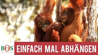 Einfach mal Abhängen [upl. by Carlye]