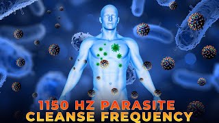 1150Hz Rife Frequency Cleanse Parasite in 5 Minutes  Instant Parasite Removal Frequency [upl. by Grantham4]