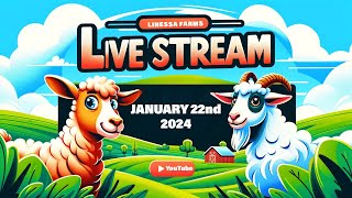 Linessa Farms Live January 22 2024 [upl. by Nehemiah]