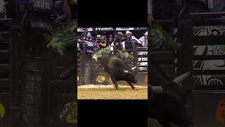 🇧🇷 Cassio Dias 🆚 Washita Red for 8825 points shorts cowboys agro rodeo viralvideo [upl. by Ytoc182]