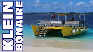 Our Day With Caribe Watersport  Snorkeling At Klein Bonaire  March 2020 Cruise Vlog  ParoDeeJay [upl. by Mure715]