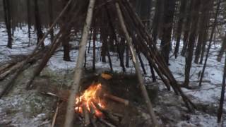 Building a Wickiup Shelter Day 1 [upl. by Iverson]