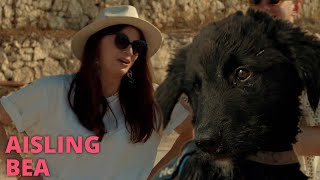 Dogs Made Me Cry  AISLING BEA [upl. by Nnaeed]