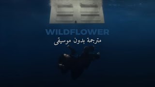 Billie Eilish  WILDFLOWER بدون موسيقى  مترجمة  Vocals Lyrics Video [upl. by Aeneg]