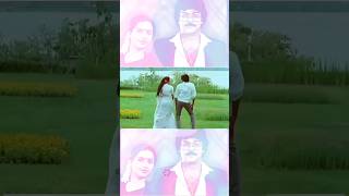 Telugu super hit melody chiranjeevi suhashini youtubeshorts telugushorts viralshorts music [upl. by Haikan428]