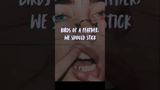 Billie Eilish BIRDS OF A FEATHER Lyrics birds of a feather we should stick together billieeilish [upl. by Lainahtan944]