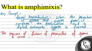 What is amphimixis [upl. by Benge]