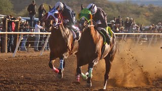 Carreras de Caballos en Moctezuma 17 de Noviembre 2024 [upl. by Lovash939]