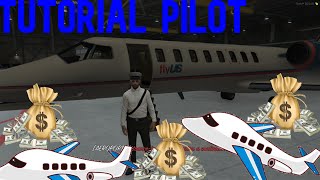 FPLAYT TUTORIAL PILOT 500 H [upl. by Terrel]