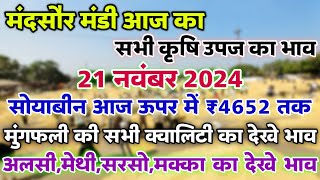 मंदसौर मंडी आज का सभी कृषि उपज का भाव 21 नवंबर 2024  Mandsaur Mandi ka bhav mandsaurmandibhav [upl. by Oludoet]