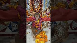 🕉️Jay Hanuman Balaji🌹 mehendipurbalajichalisa 🙏 [upl. by Ardel]