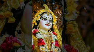 Chadha Krishna ka rang devotioanlsongs love radhakrishnasong 🦚🌹🙏 Radhakrishna Bhajan 🌹🙏💐 [upl. by Kier626]