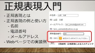 正規表現入門正規表現の体系的な説明からWebサイト入力チェック機能の実装まで [upl. by Amo]