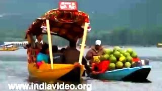 Shikara boat ride and floating market in Dal lake Jammu and Kashmir [upl. by Fayina]