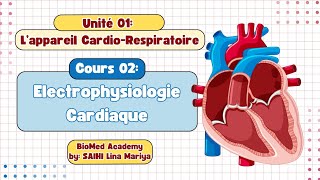 Physiologie Cardiaque  Électrophysiologie du Cœur  2éme année Médecine [upl. by Arul]