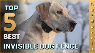 Top 5 Best Invisible Dog Fence Review in 2023 [upl. by Nigle870]