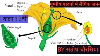 REPRODUCTION In flowering plants [upl. by Susie]