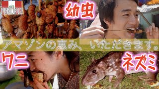 【食べる】ペルーアマゾンの料理を10食分紹介しちゃう動画。イキトスの食堂や屋台にて。幼虫・ワニ・ネズミ有り❤︎『世界196ヶ国 制覇の旅』 [upl. by Valer]