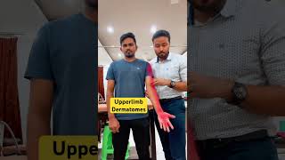 Dermatomes Upper limb in 1 minute physiotrendz assessment [upl. by Ahsenet887]