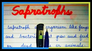 Definition of Saprotrophs  what are Saprotrophs [upl. by Aneehsak319]