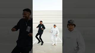 Manzi Nte Lit Dance Challenge Robot Boii amp Bontle Modiselle [upl. by Inilam]