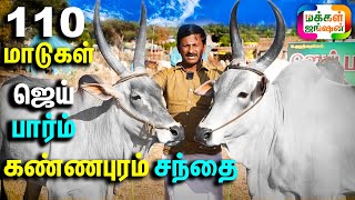 110 மாடுகள் கண்ணபுரம் தேர் சந்தை ஜெய் பார்ம்ஸ் Jai FarmsKannapuram Santhai Big Cow Market [upl. by Yessej]