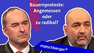 Bauernproteste amp AmpelStreit  gibt es Neuwahlen Hubert Aiwanger und Omid Nouripour  maischberger [upl. by Ainig]