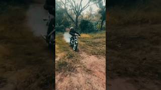 RX 100  wheelie [upl. by Eanad]