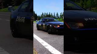 Police Chase Compilation 16  BeamNG Drive shorts [upl. by Orsa]