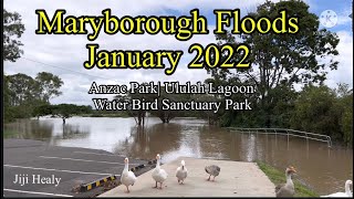 Maryborough Floods 2022 Major Flood Warning for Mary River Ululah Lagoon Overflowing [upl. by Ancalin]