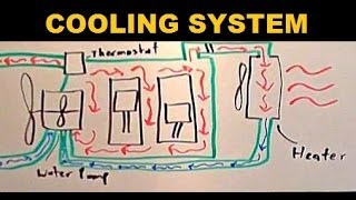 Radiators  Explained [upl. by Rysler]