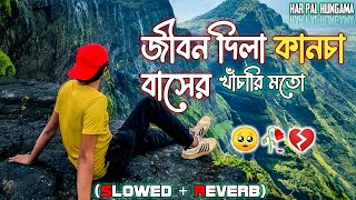 জীবন দিলা কানচা বাসের খাঁচারি মতো  💔🥀 Bangla New Sad Song  Koster Gaan  New Sad Song  sadsong [upl. by Nylesoj]