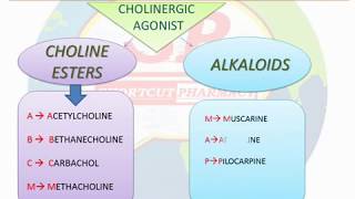 CLASSIFICATION OF CHOLINERGIC DRUGSPARASYMPATHOMIMETIC  PHARMACOLOGY  SIMPLE TRICK  MNEMONICS [upl. by Celio]