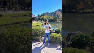 Tenryuji temple Oct 13 2024 🤩 solotraveljapan kyoto zengarden tenryuji ❤️ [upl. by Popelka]