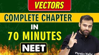 Vectors in 70 minutes  Complete Chapter for NEET [upl. by Anyela]