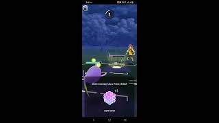 Using Shadow Gliscor Live in Ultra League  Pokemon Go [upl. by Lynda173]