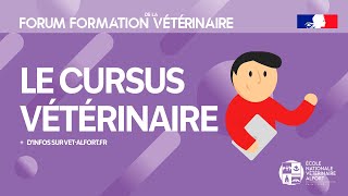 Conférence FFVET24 Le cursus vétérinaire [upl. by Ilarrold384]