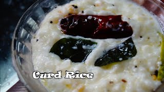 Curd Rice  Daddojanam  Perugannam  Temple Prasadam Recipe [upl. by Erny611]