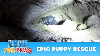 Epic puppy rescue  18 feet into the earth Dangerous Hope For Paws rescue puppy [upl. by Tenom960]